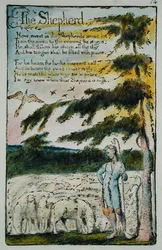 Der Hirte, Illustration aus Lieder der Unschuld und Erfahrung, (Bentley Kopie L) pl.14 (Bentley 5) 1789-94